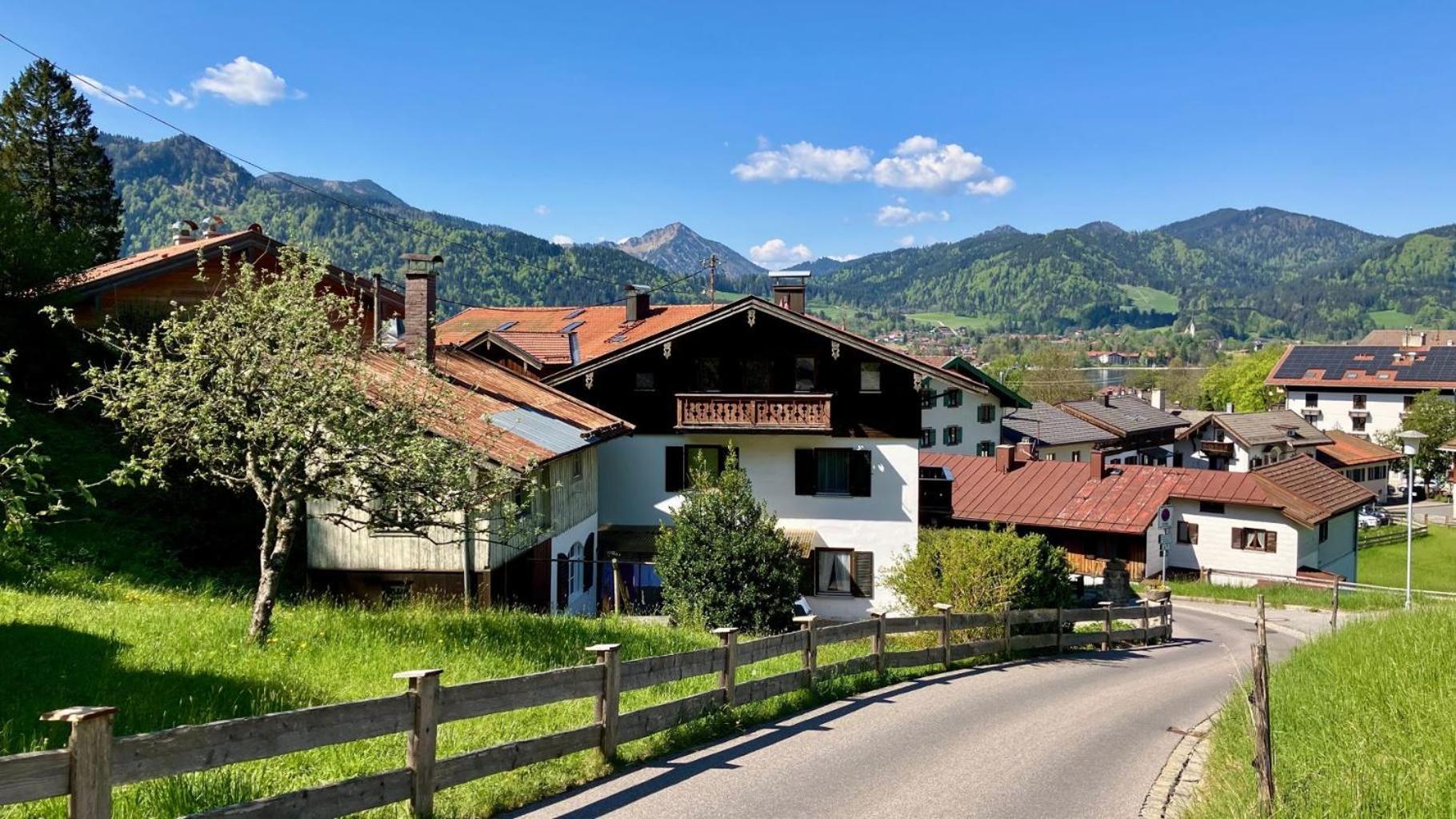 Koelbl - Am
